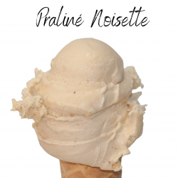 Bac de glace à la noisette, brun doré, garni de noisettes